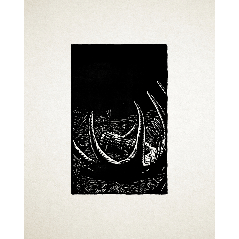 Steve Von Till “No Wilderness Deep Enough”