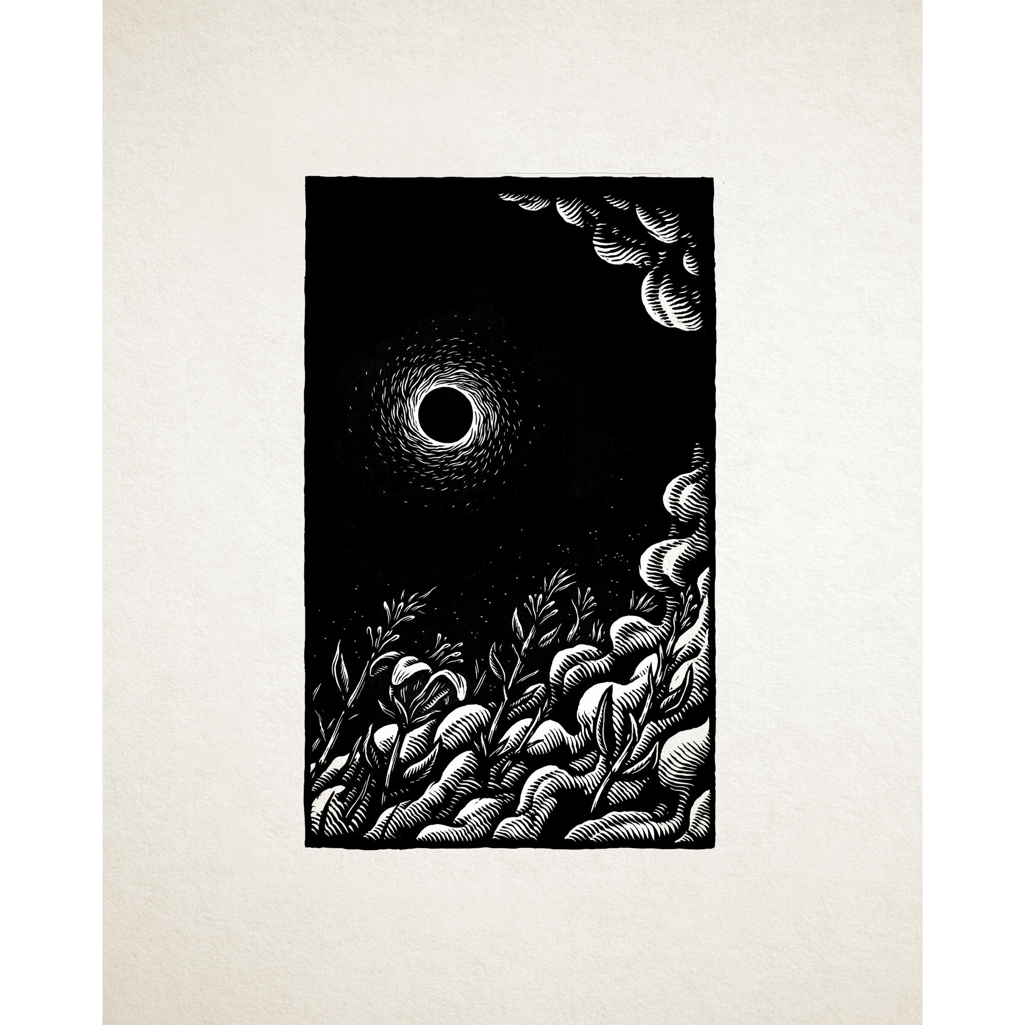 Steve Von Till “No Wilderness Deep Enough”