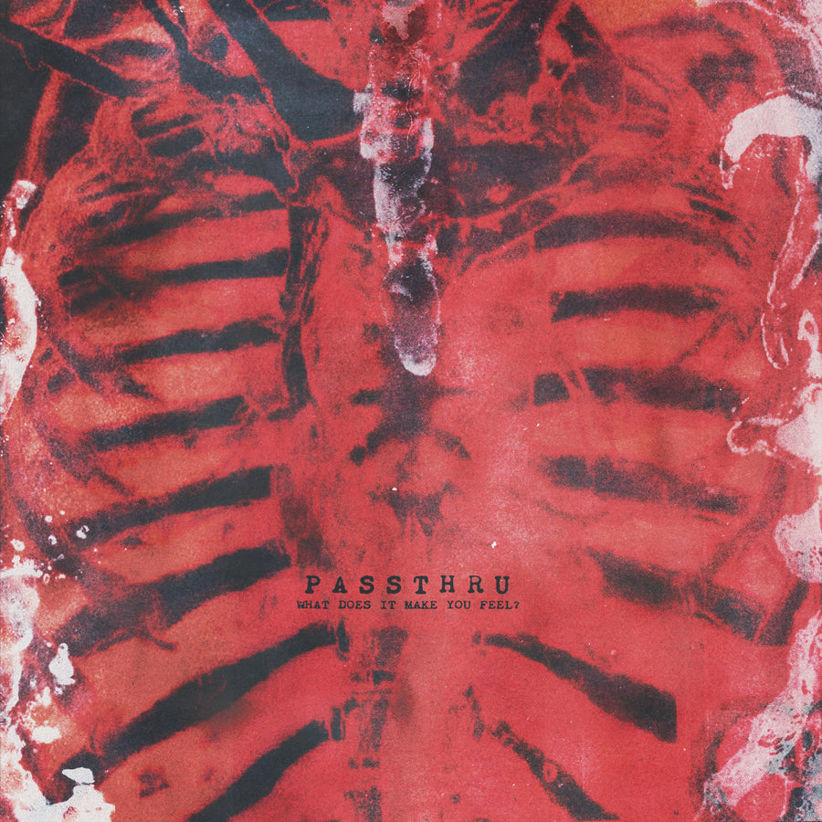 Passthru "What Does It Make You Feel?"