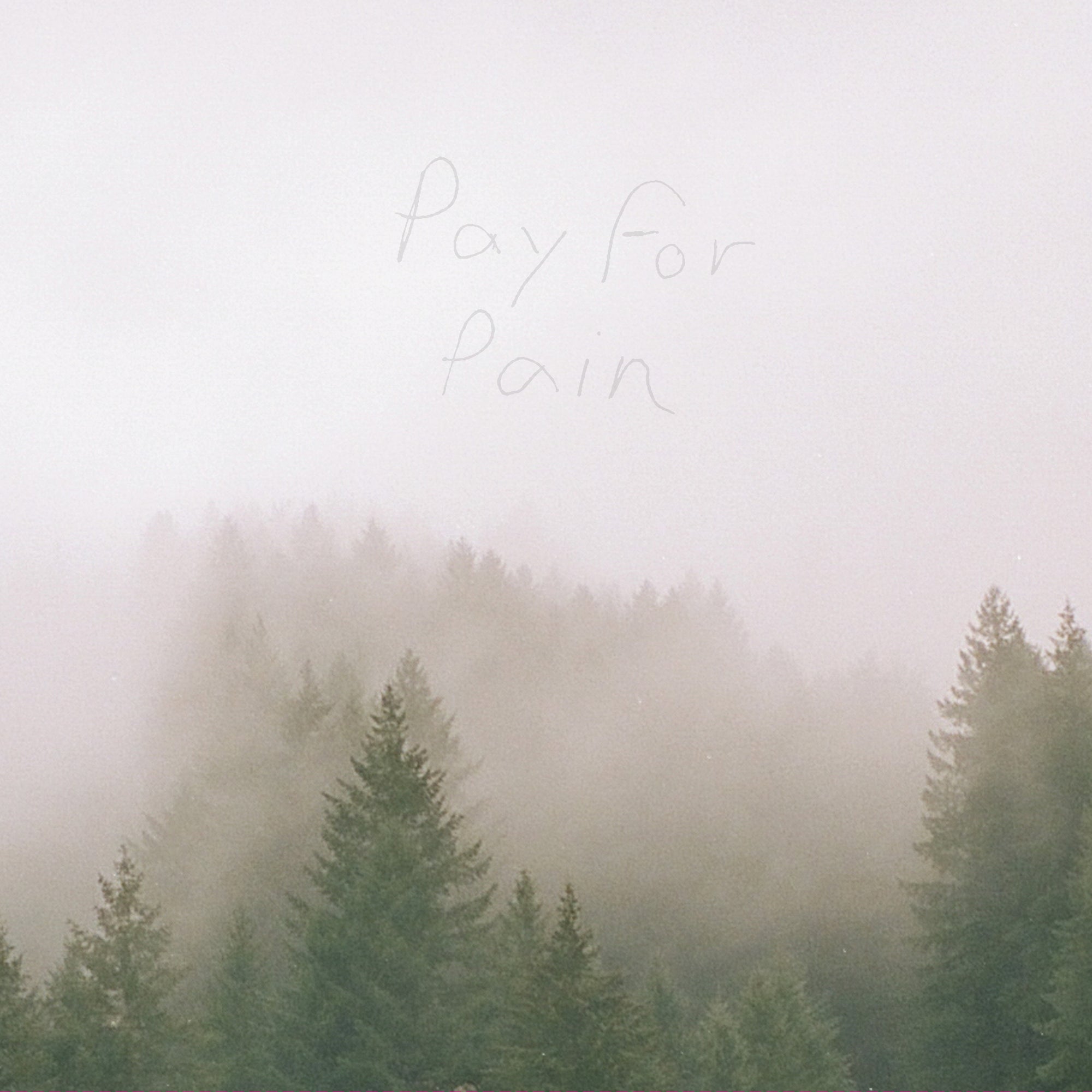 Pay For Pain "Pain"