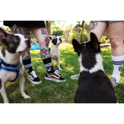 Terrier Cvlt "Dog Face" Black Socks