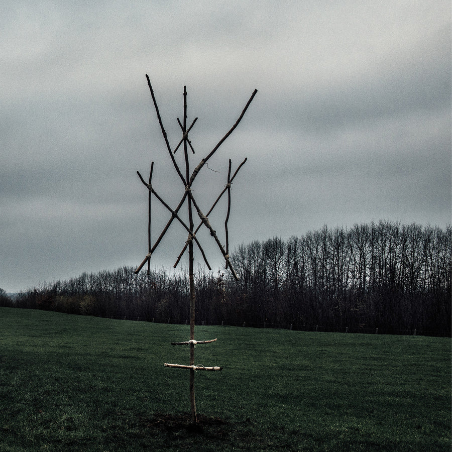 Wiegedood "De Doden Hebben Het Goed III"