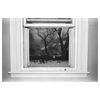 Reid Haithcock "Winter Series: Window" Giclee Print
