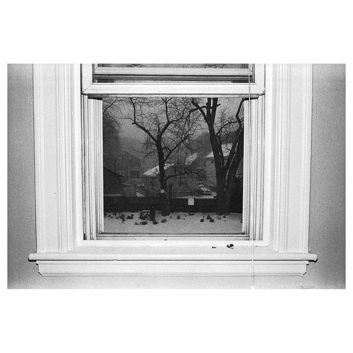 Reid Haithcock "Winter Series: Window" Giclee Print