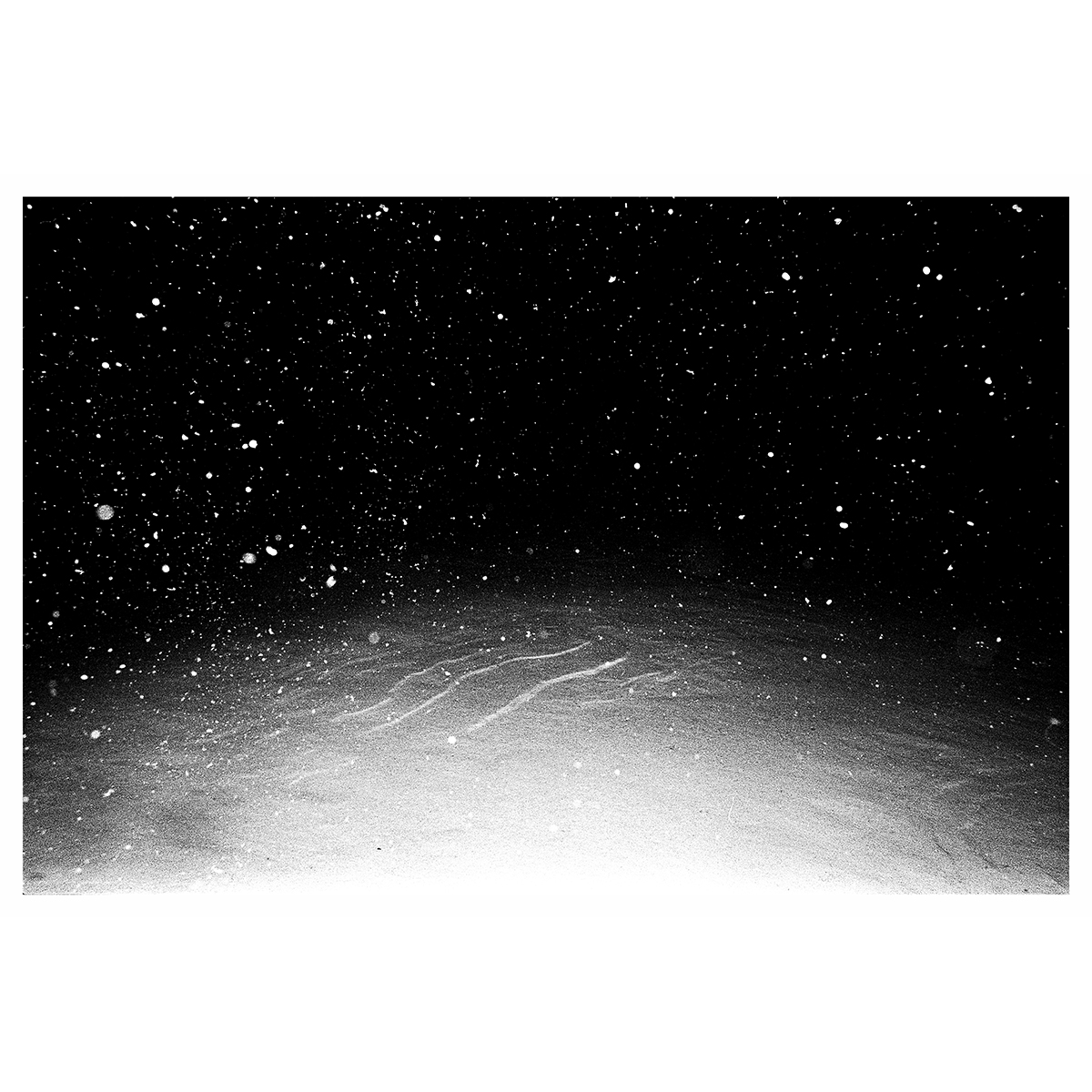 Reid Haithcock "Winter Series: Snowfall" Giclee Print