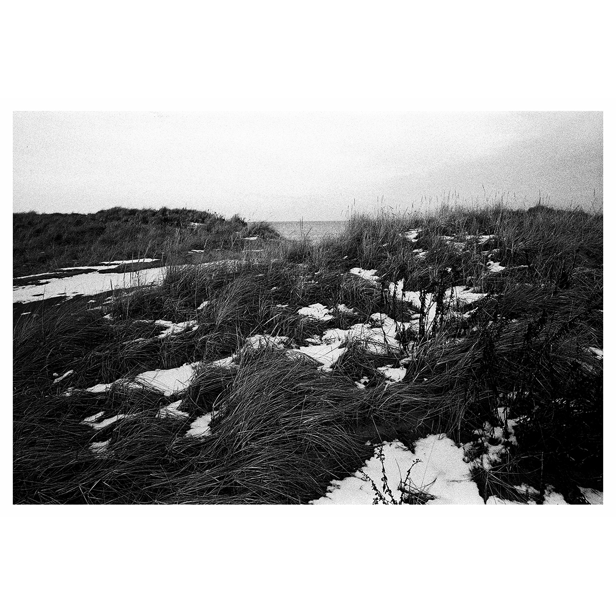 Reid Haithcock "Winter Series: Dunes" Giclee Print