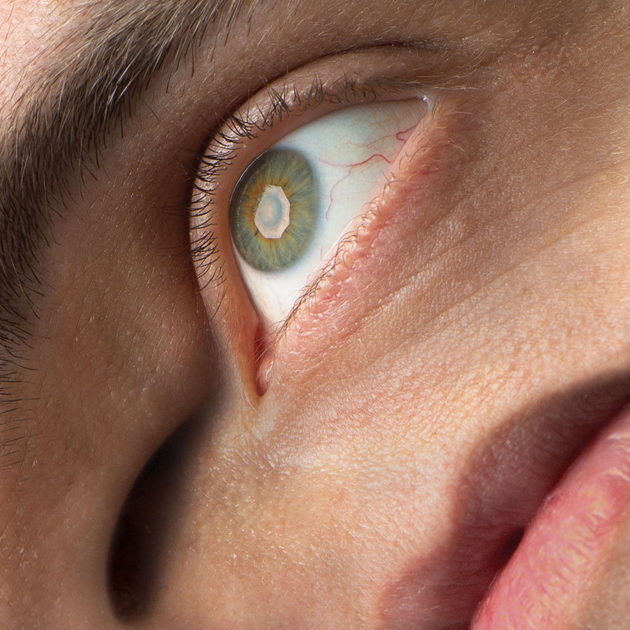 Swain "Negative Space"