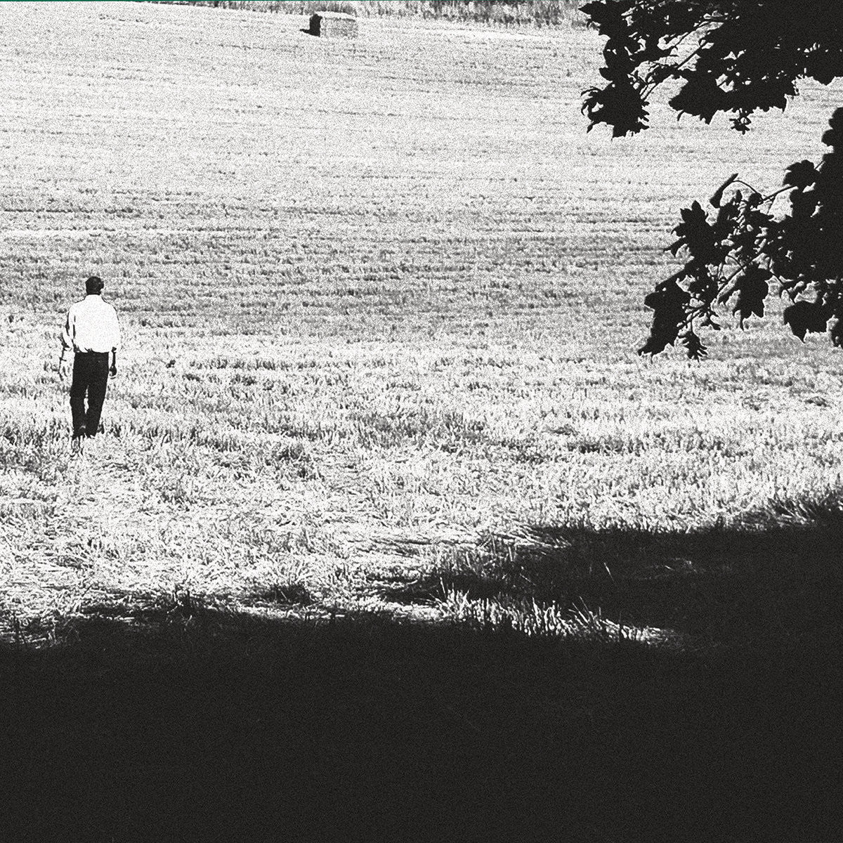 Sentenced To Burn / Renounced "Split"