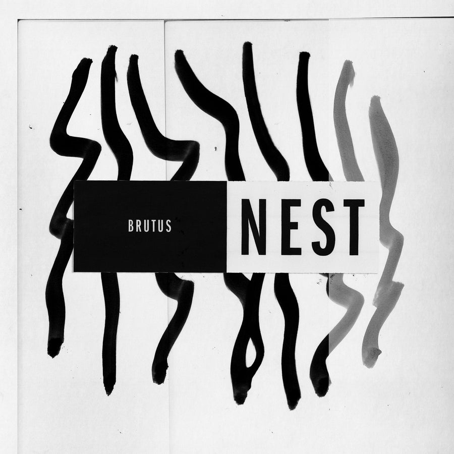 Brutus "Nest"