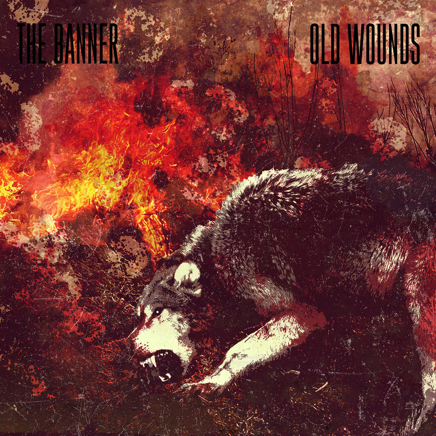 The Banner / Old Wounds "Split"