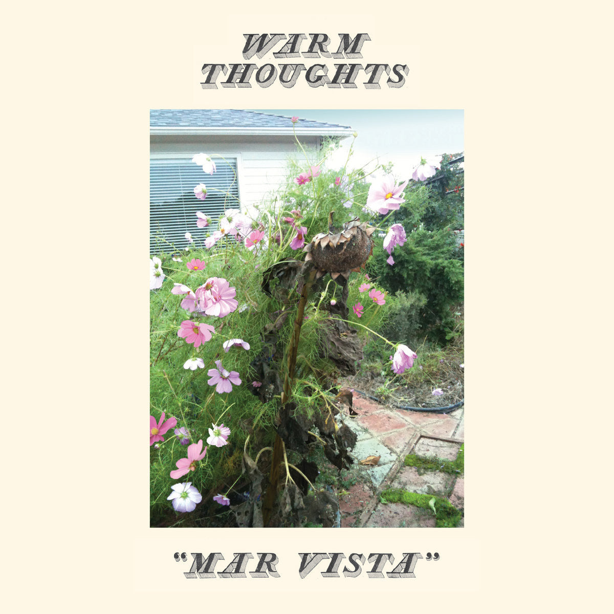 Warm Thoughts "Mar Vista"