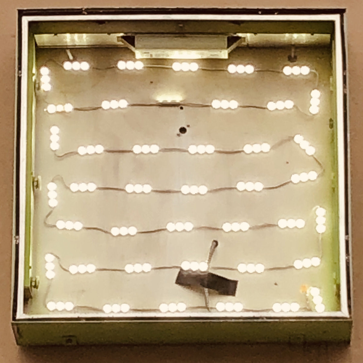 Oso Oso "Basking In The Glow"