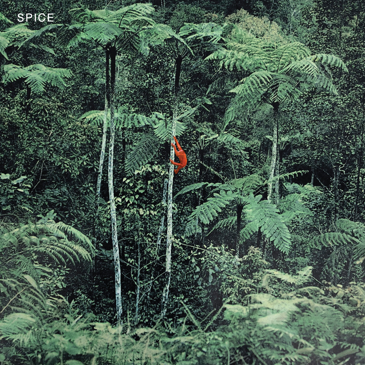 Spice "Spice"