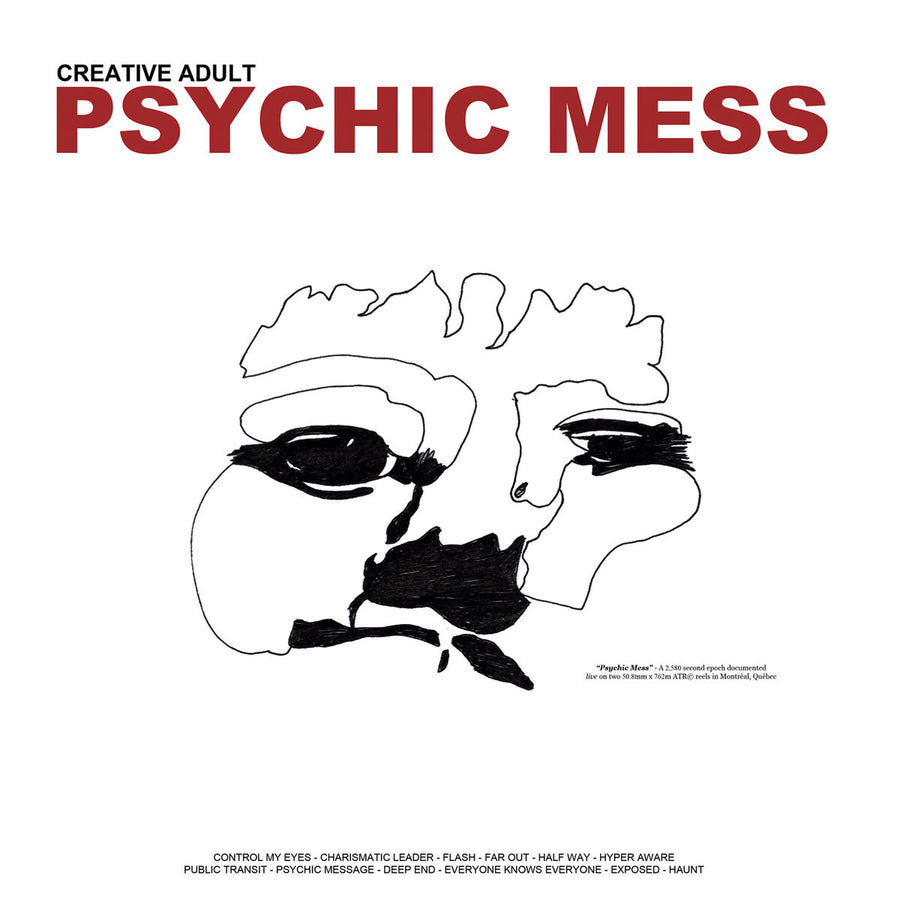 Creative Adult "Psychic Mess"