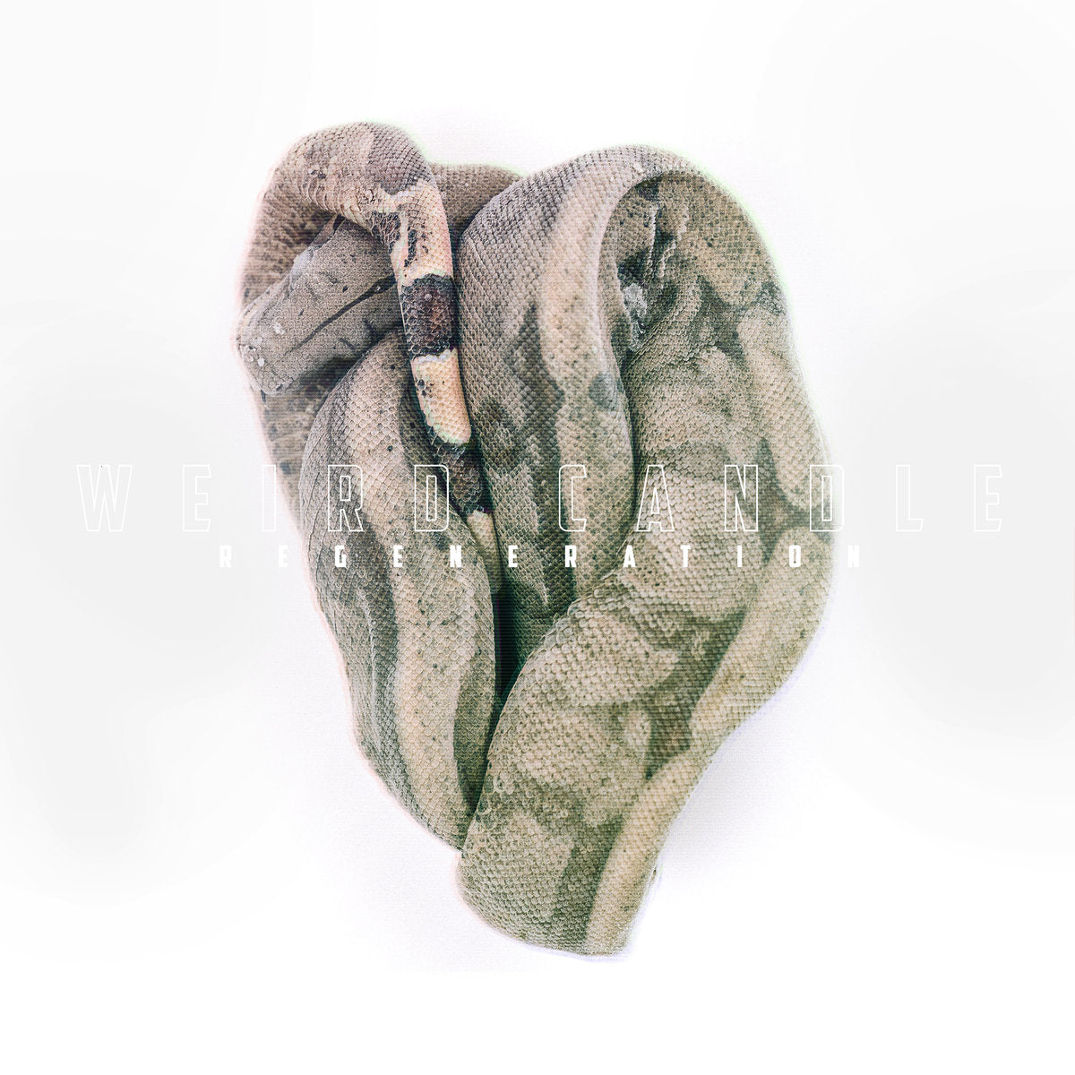 Weird Candle "Regeneration"