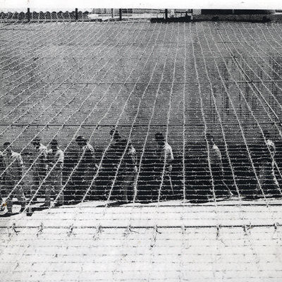 Streetwalkers "Vile Thoughts"