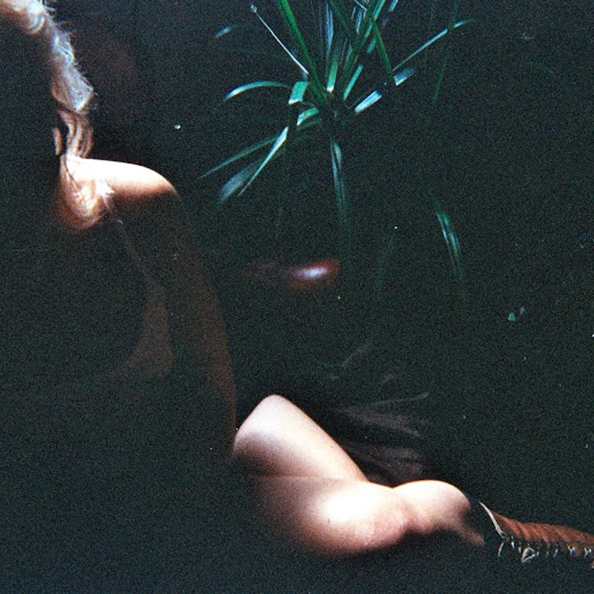 Elvis Depressedly "New Alhambra"