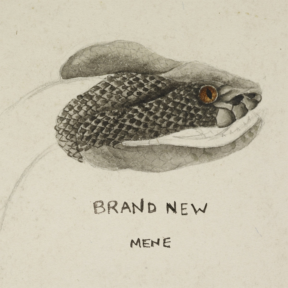 Brand New "Mene"