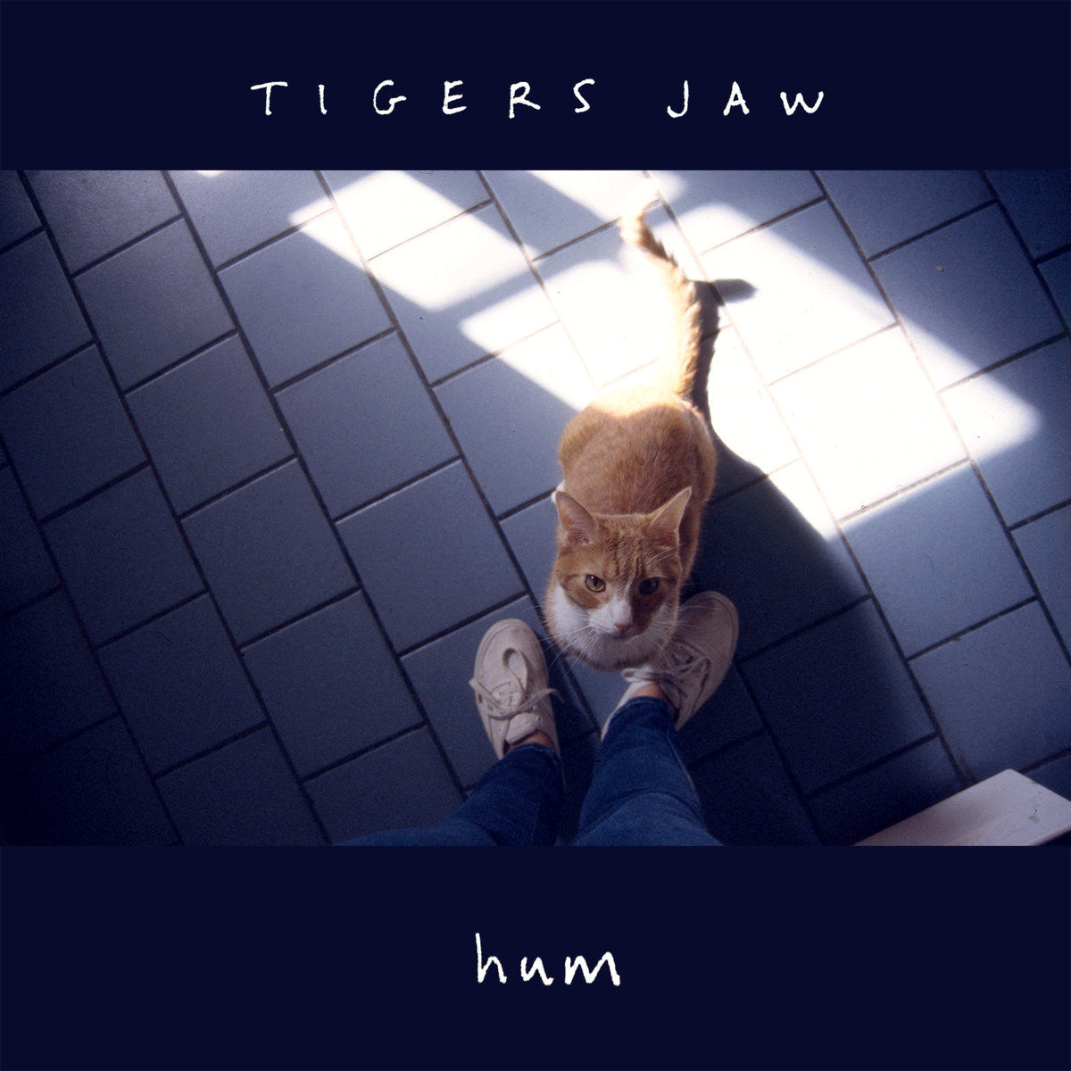 Tigers Jaw "Hum"
