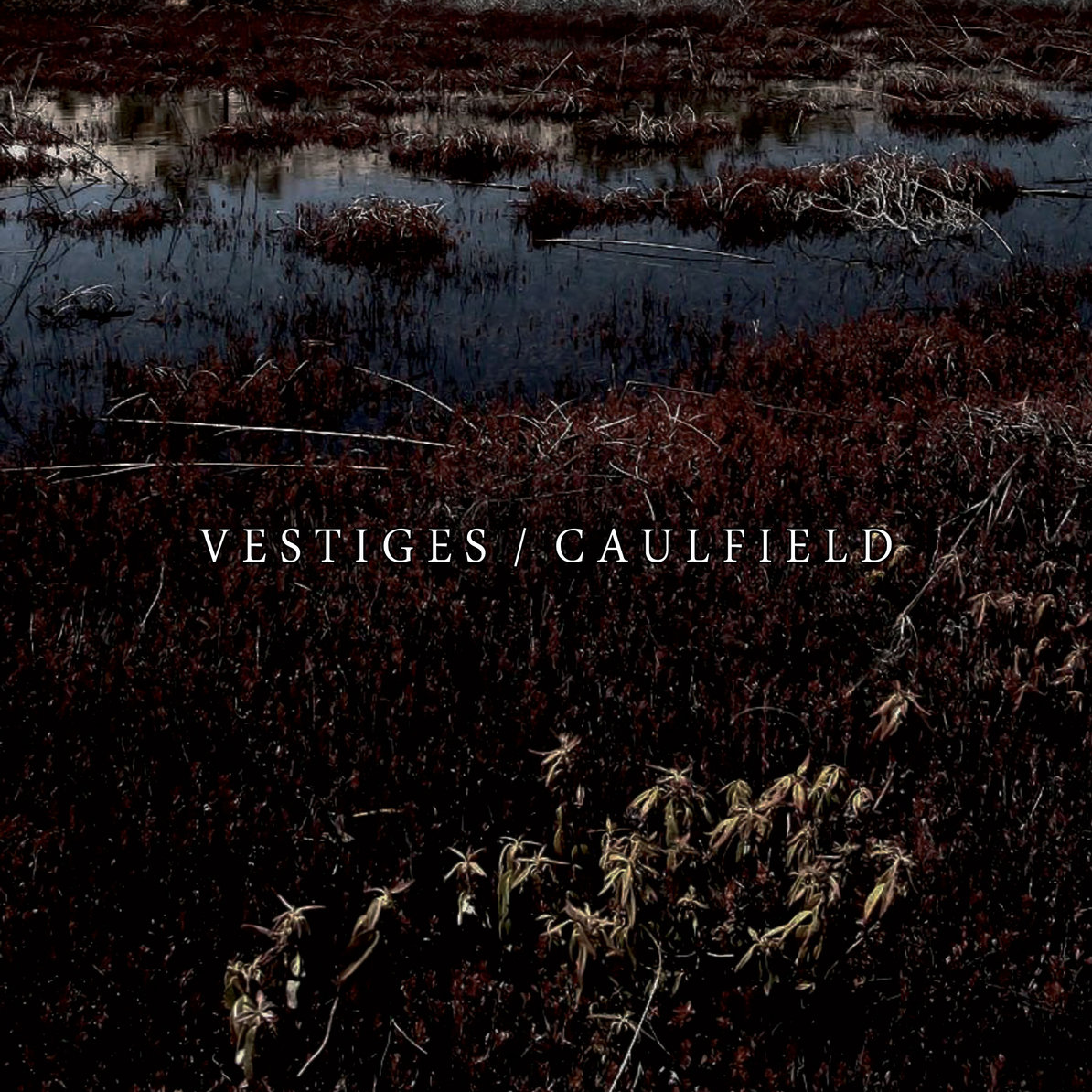 Vestiges / Caulfield "Split"