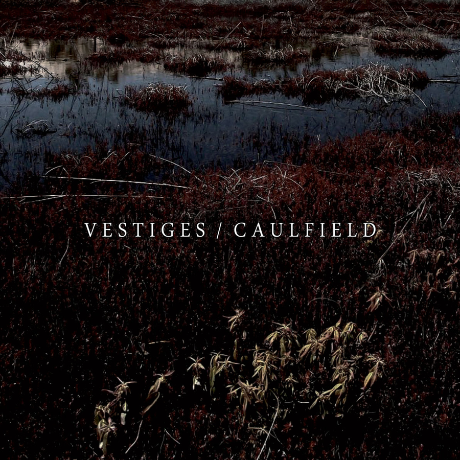 Vestiges / Caulfield "Split"