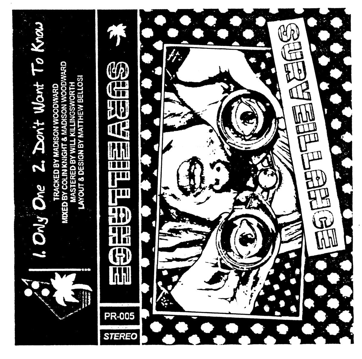 Surveillance "Demonstration"