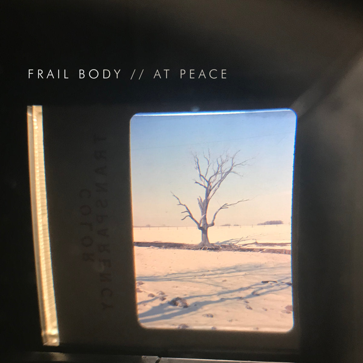 Frail Body "At Peace"
