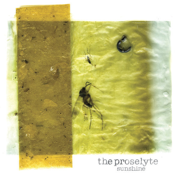 The Proselyte "Sunshine"