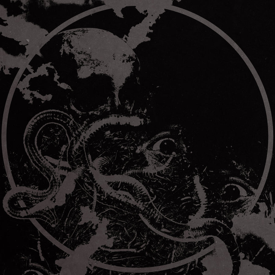 Fister / CHRCH "Split"