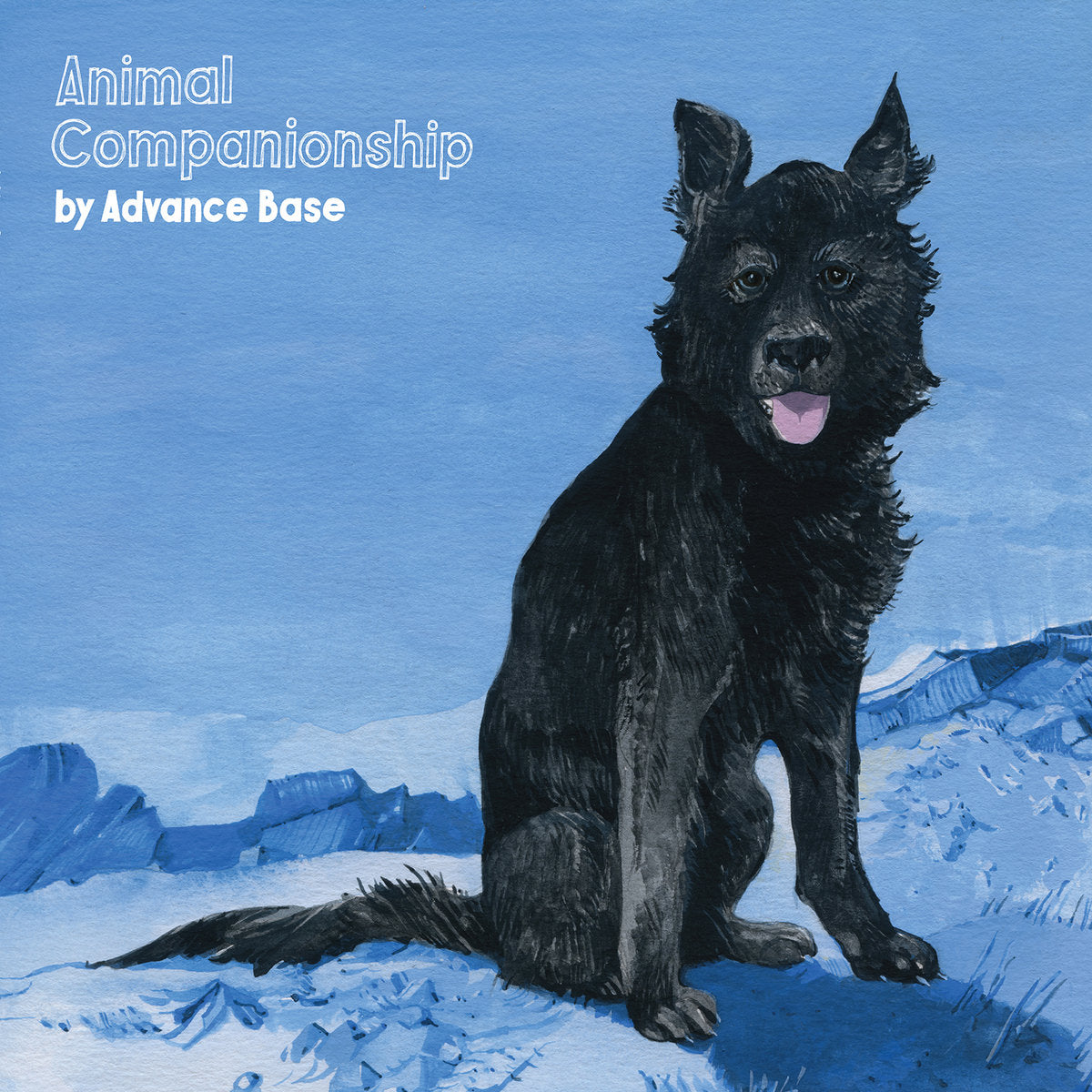 Advance Base "Animal Companionship"