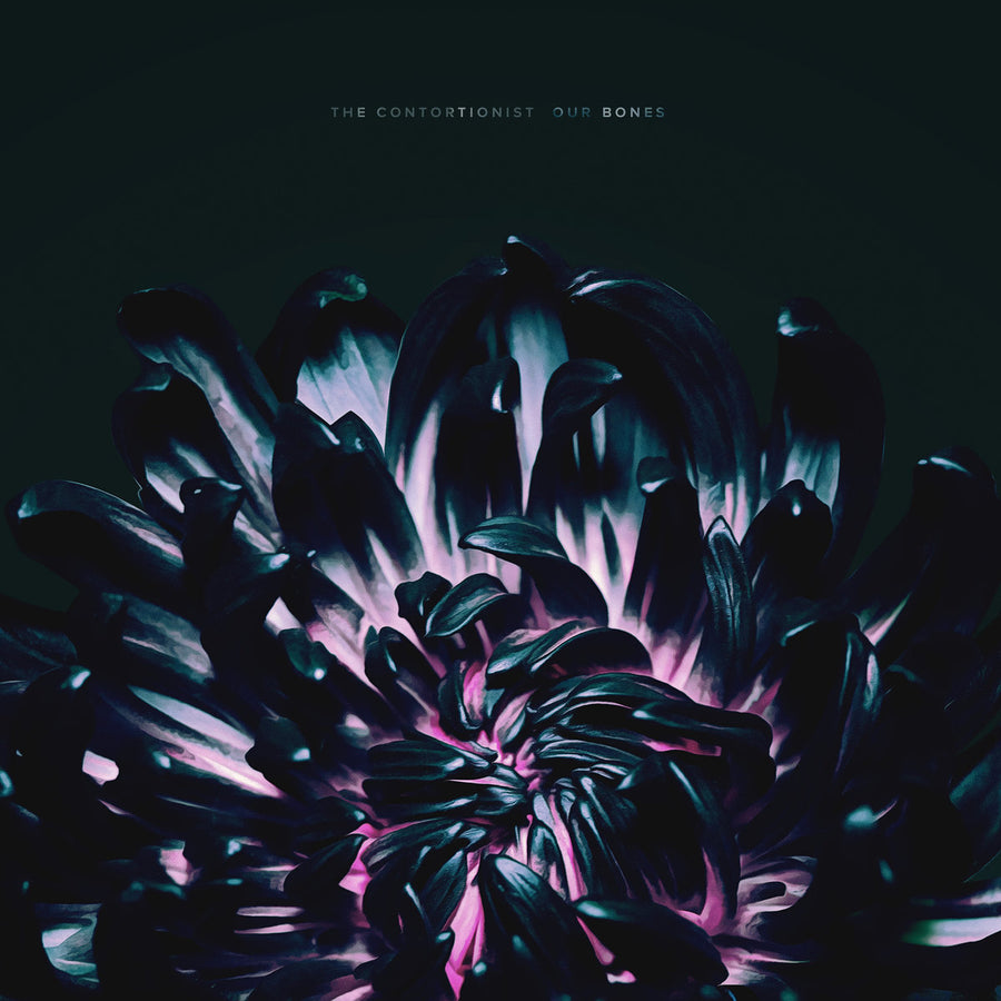 The Contortionist "Our Bones"