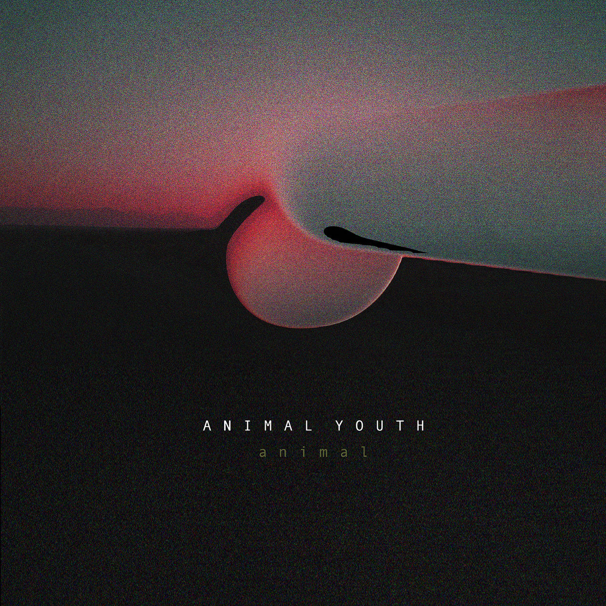 Animal Youth "Animal"