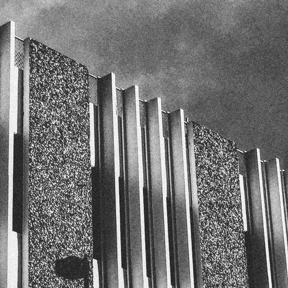 Lace "Human Condition"