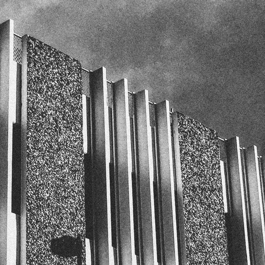 Lace "Human Condition"