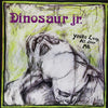 Dinosaur Jr. "You're Living All Over Me"