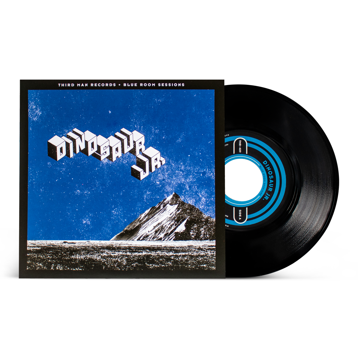 Dinosaur Jr. "Blue Room Sessions"
