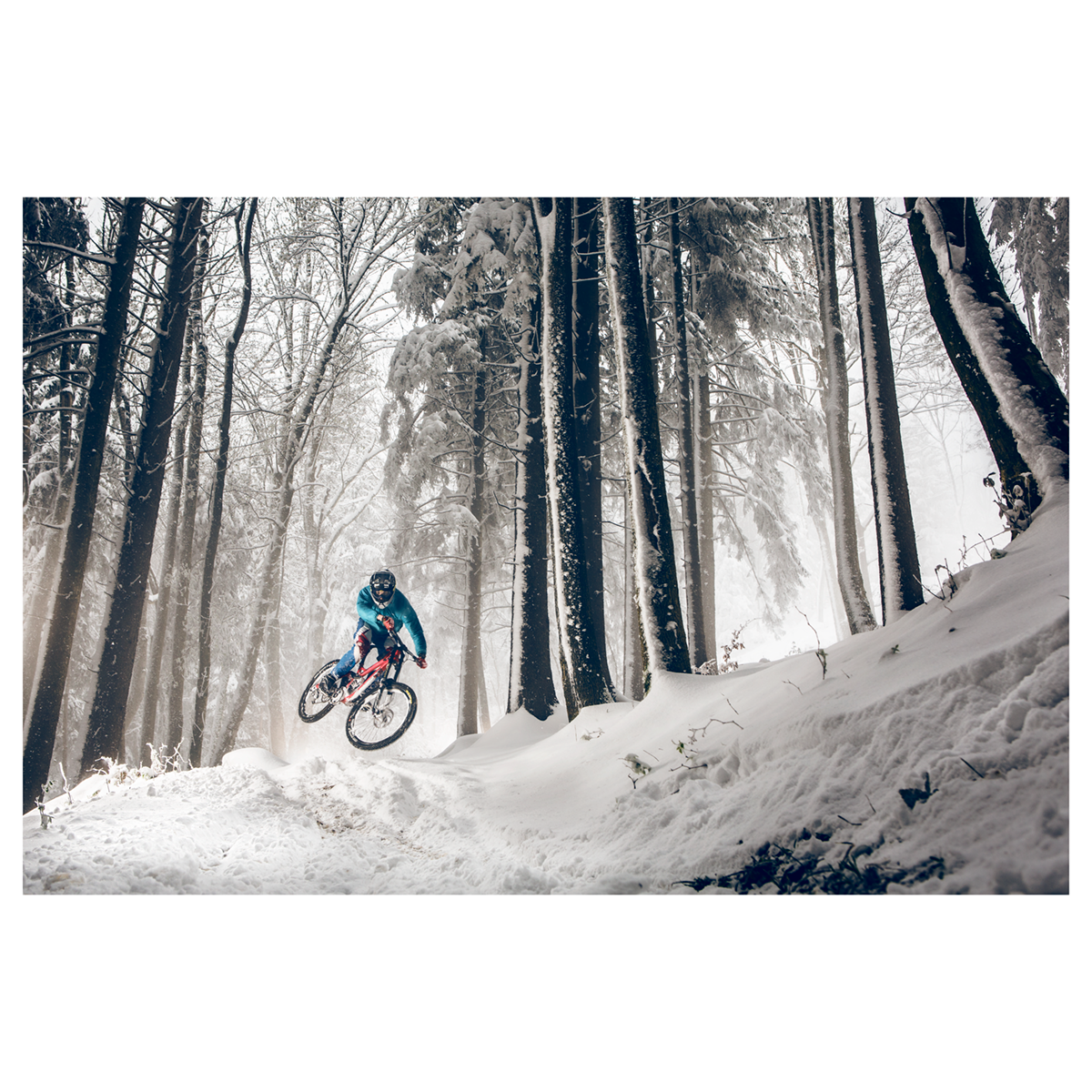 David Robinson "Sebastian - Salzburg" Giclee Print