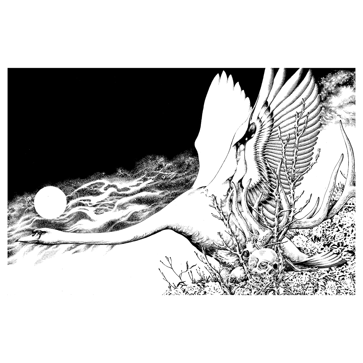 Fajar Allanda "Cygnus" Giclee Print