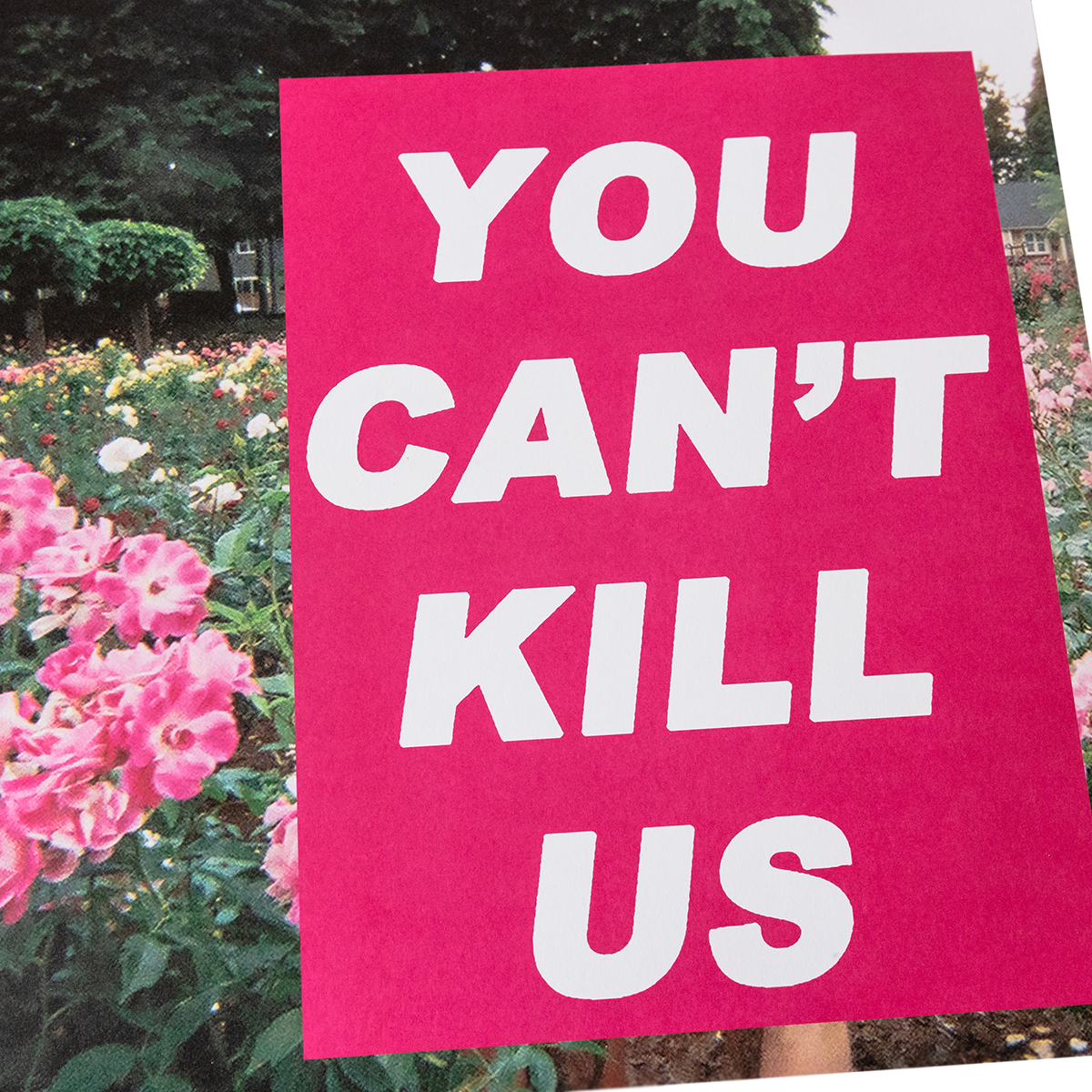 The HIRS Collective "Friends. Lovers. Favorites."