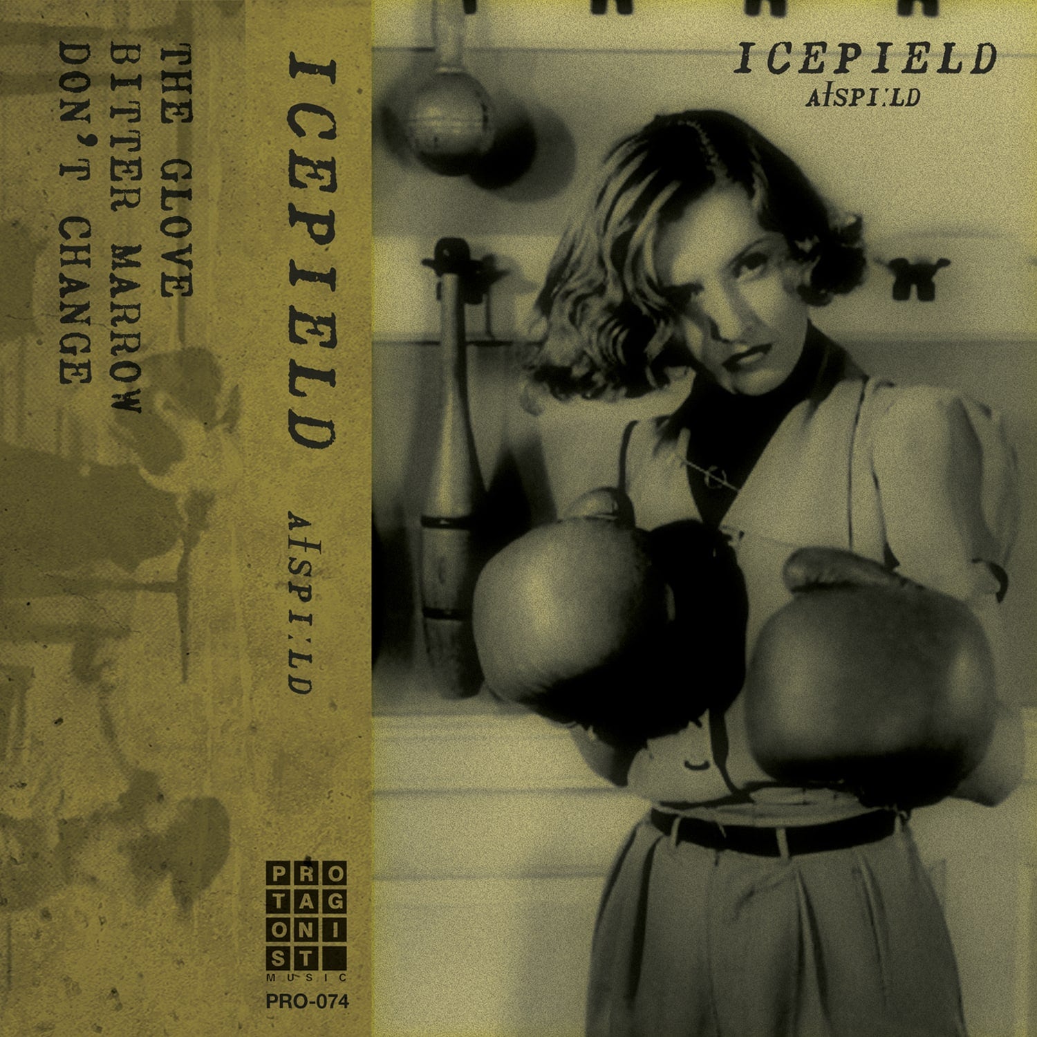 Icepield "aɪspiːld"