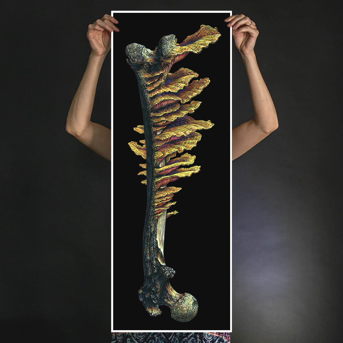 Marald Van Haasteren "16: Dreamsquasher (Marrow 2)" Giclee Print