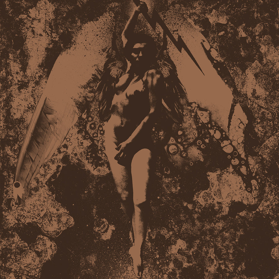 Converge & Napalm Death "Split"