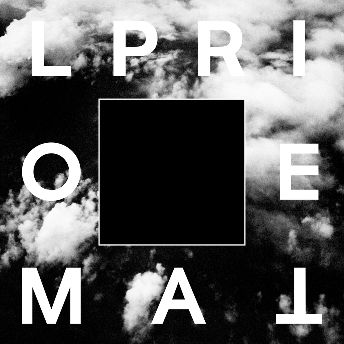 Loma Prieta "Self Portrait"