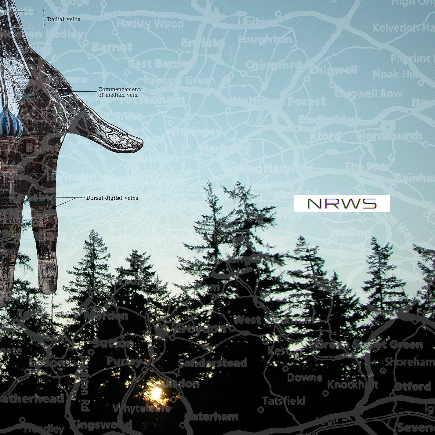 Narrows "New Distances"