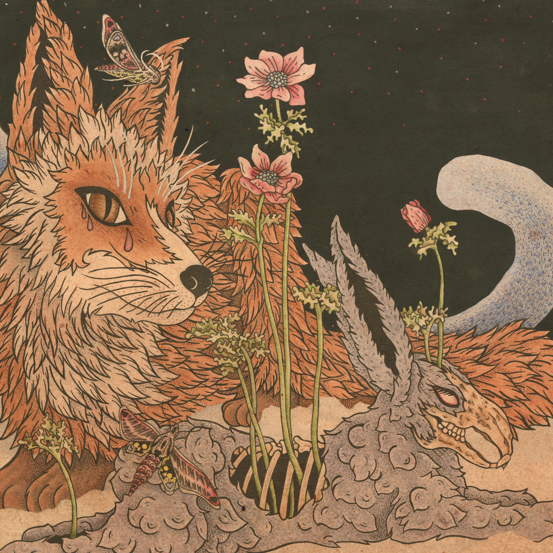 Planes Mistaken For Stars "Prey"