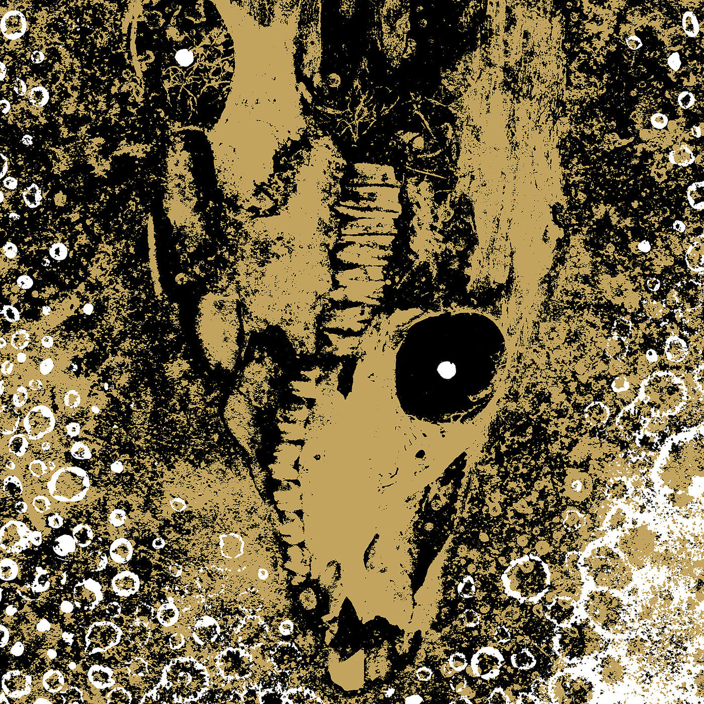 Rise And Fall "Our Circle Is Vicious"