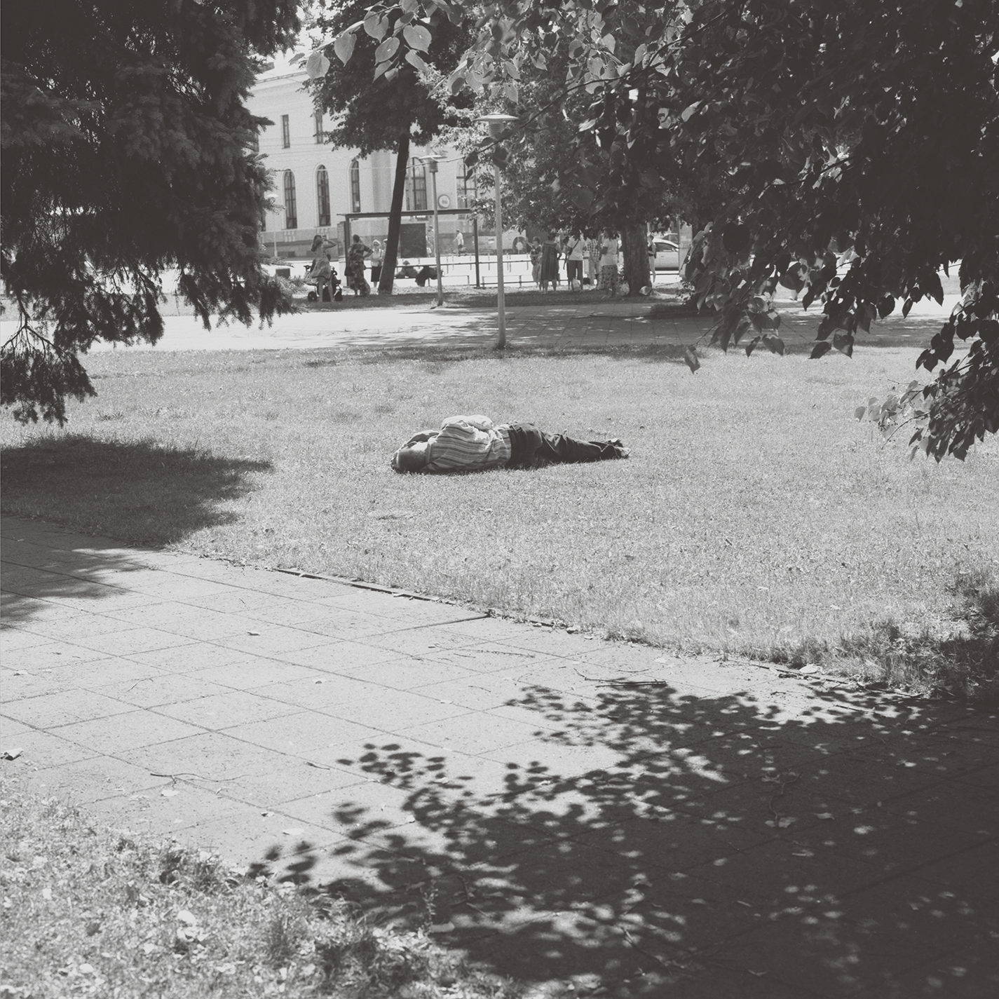 Self Defense Family "Heaven Is Earth"