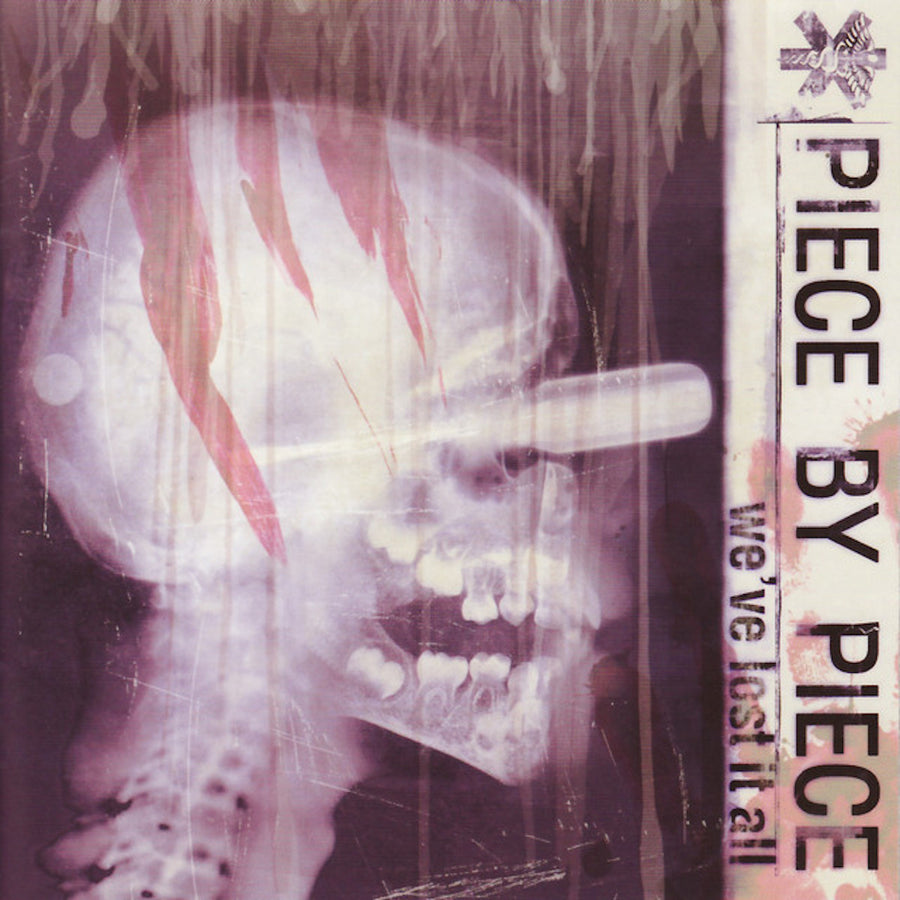 Piece by Piece "We've Lost It All" CD