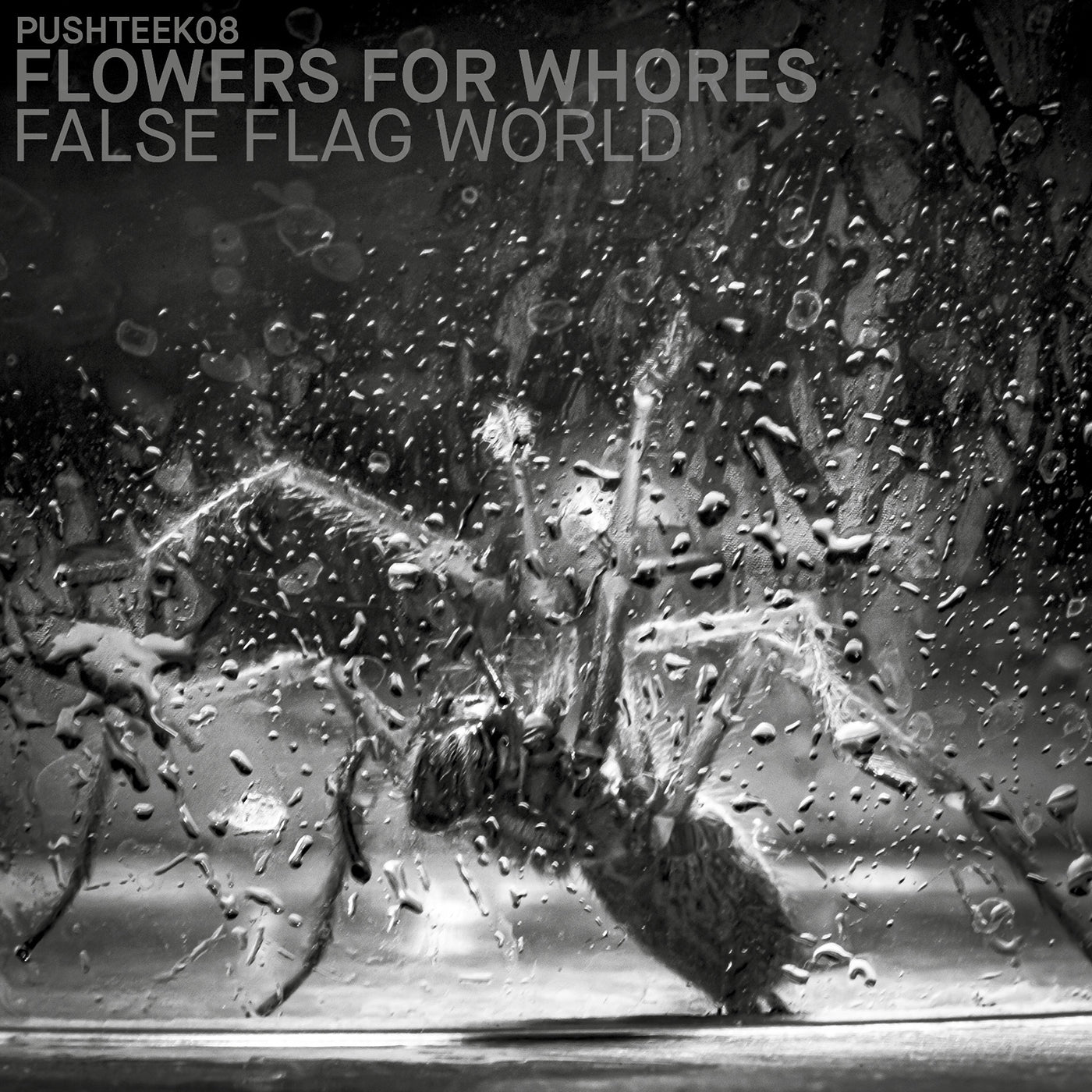 Flowers For Whores "False Flag World"