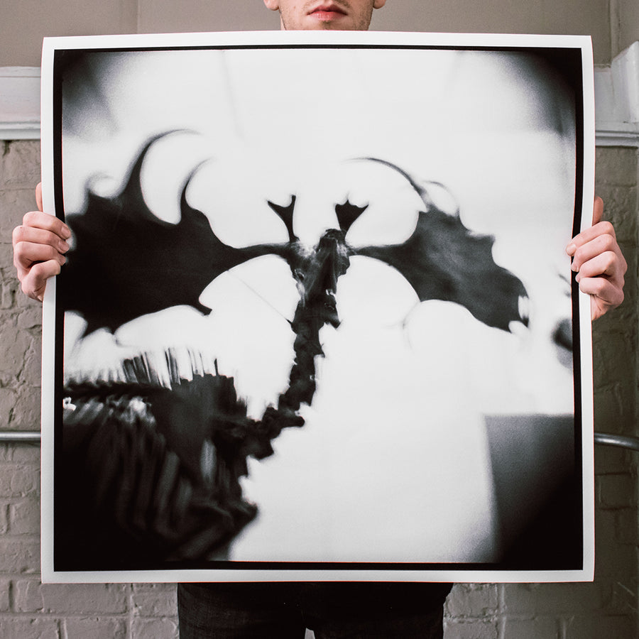 Reid Haithcock "Bones: 1" Giclee Print